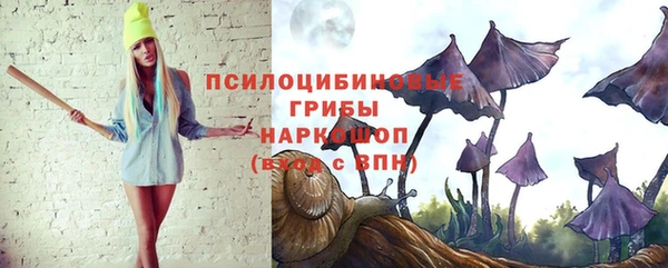 твердый Белокуриха