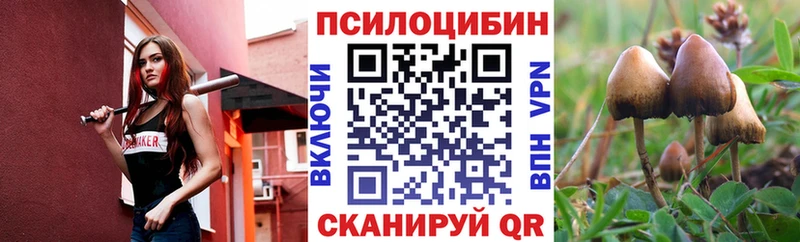 Псилоцибиновые грибы Psilocybe  кракен маркетплейс  Окуловка 